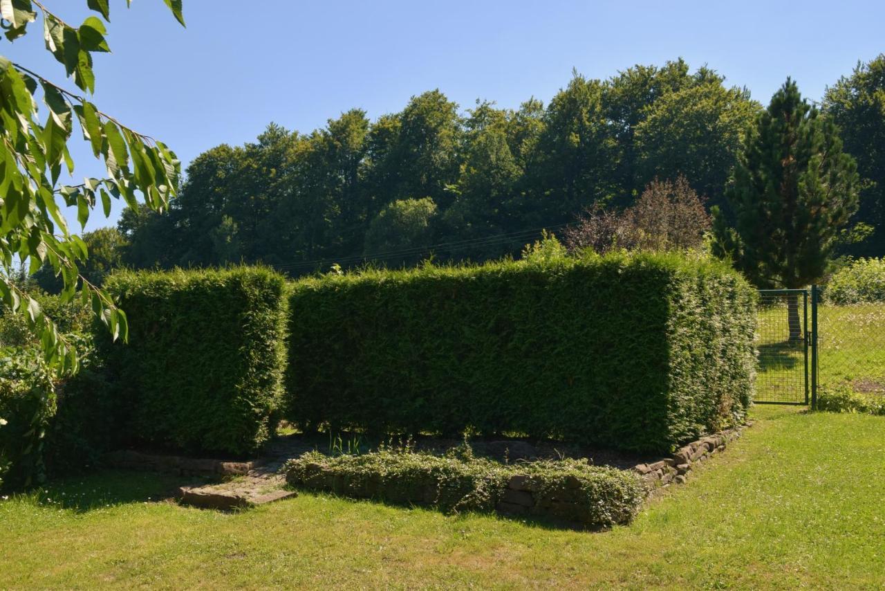Superior - Ferienhaus Am Engelsbach Im Thueringer Wald מראה חיצוני תמונה