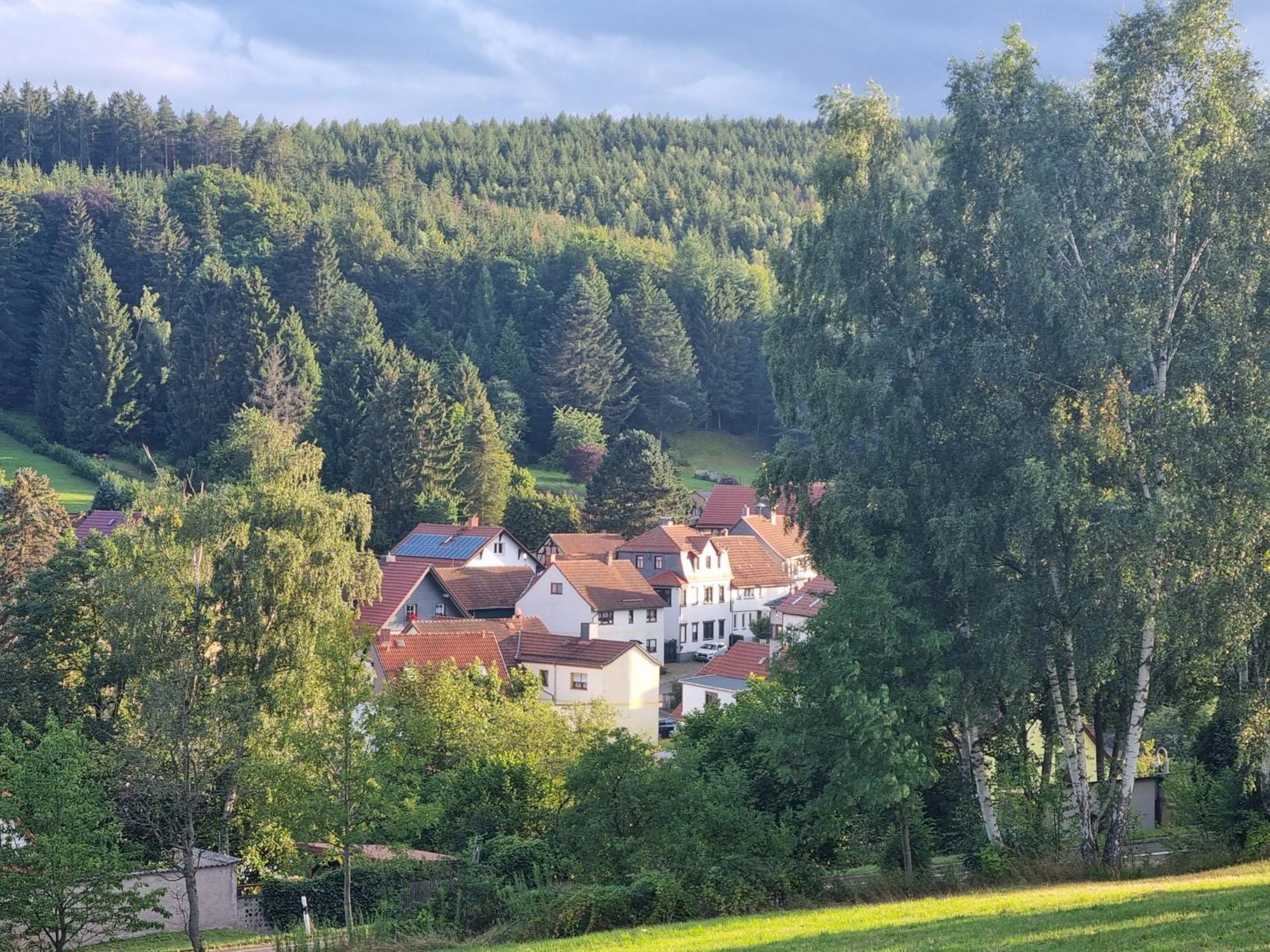 Superior - Ferienhaus Am Engelsbach Im Thueringer Wald מראה חיצוני תמונה